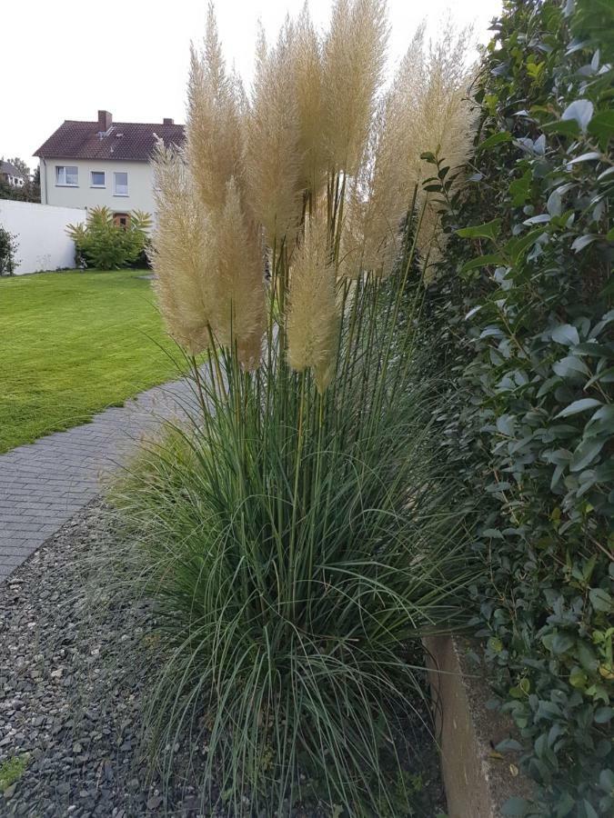 Harleshausen